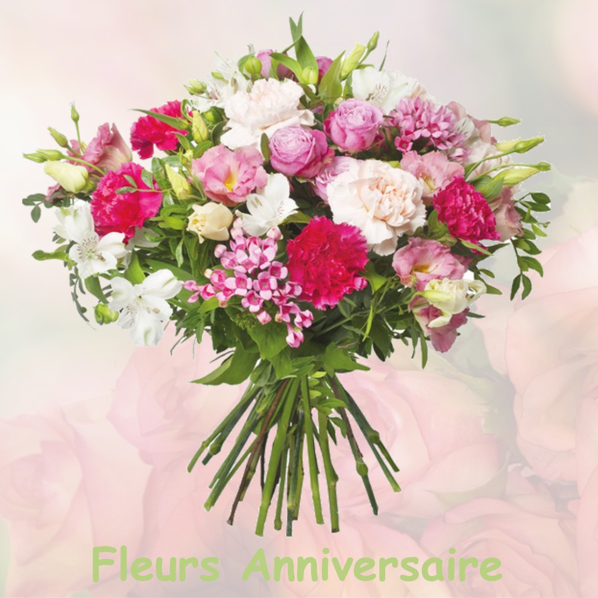 fleurs anniversaire VILLENEUVE-SUR-YONNE